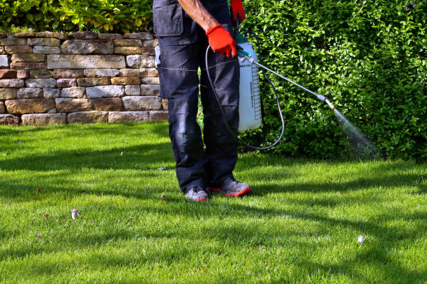 Seasonal Pest Control in Murphysboro, IL